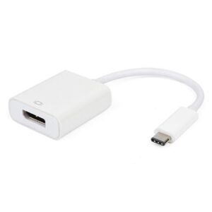 USB C TO Display Port